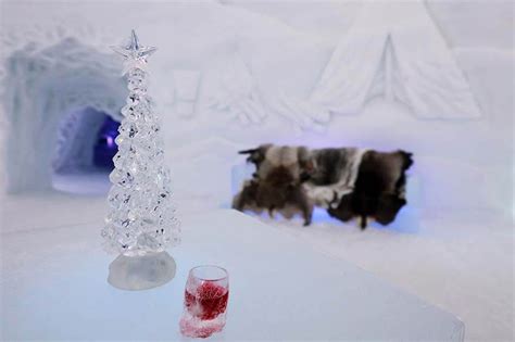 Unleash Your Inner Elsa at Tromso's Ice Bar
